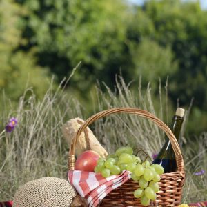 Picnic basket with hat and book. Holiday vacation concept